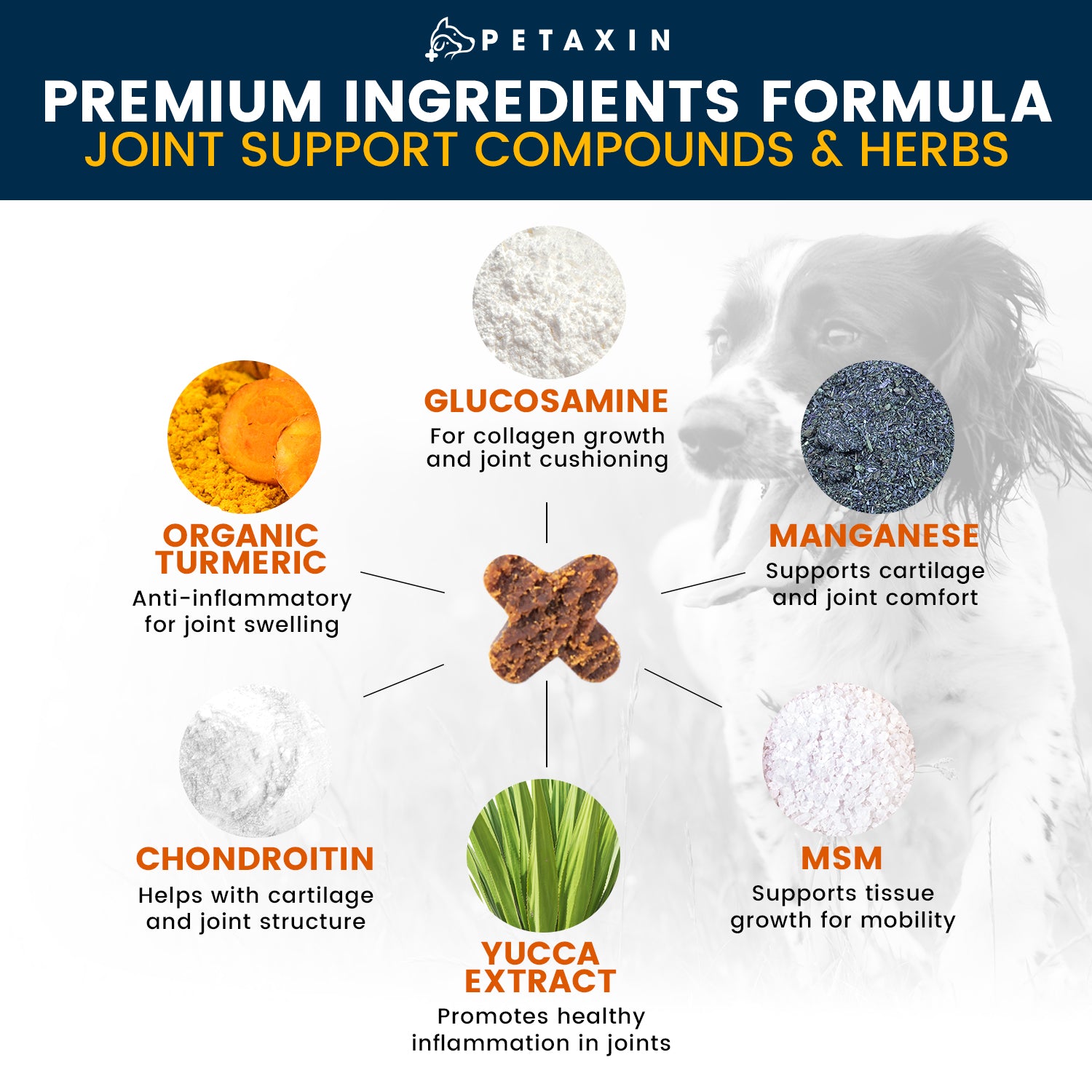 Petaxin Hip + Joint Support