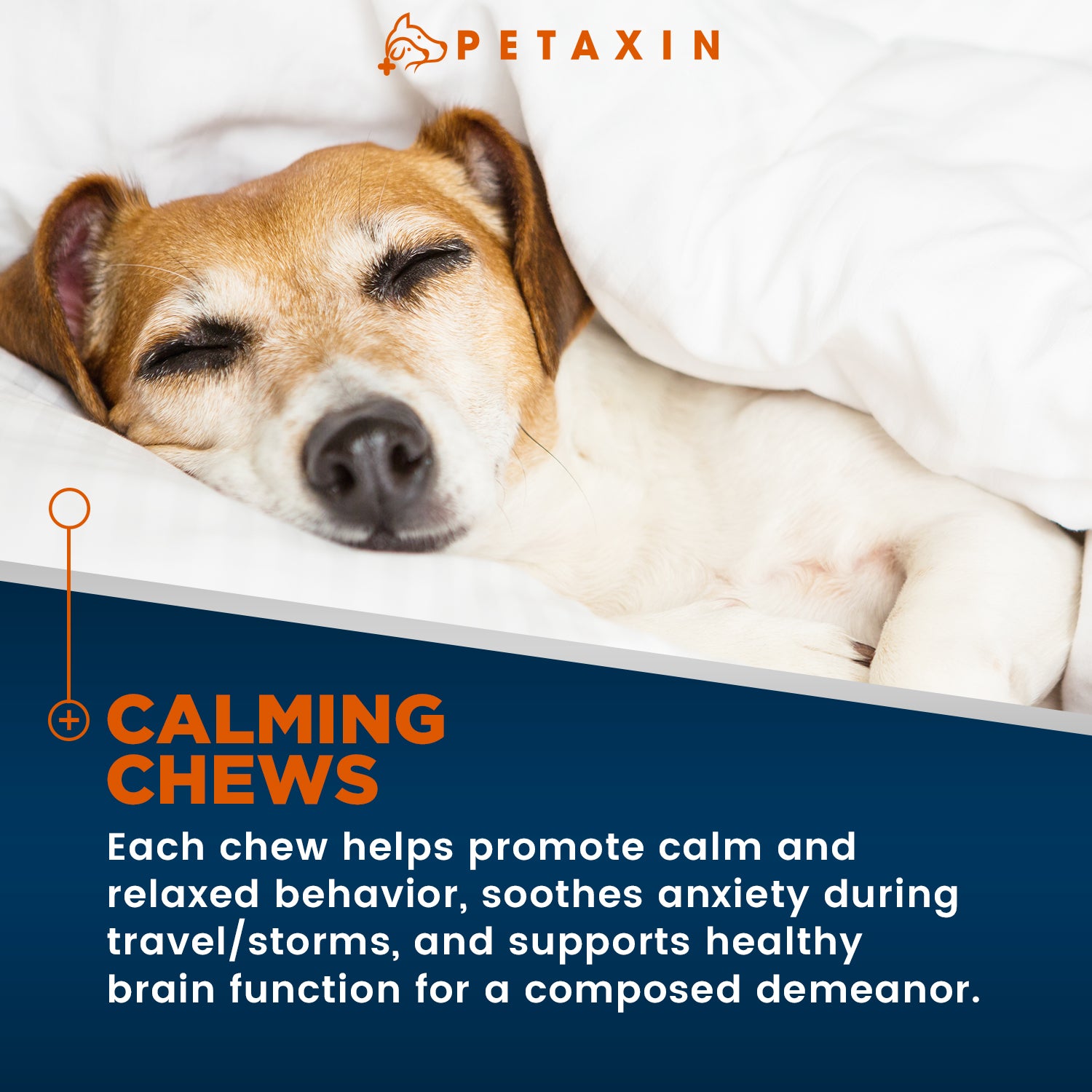 Petaxin Calm + Comfort Aid