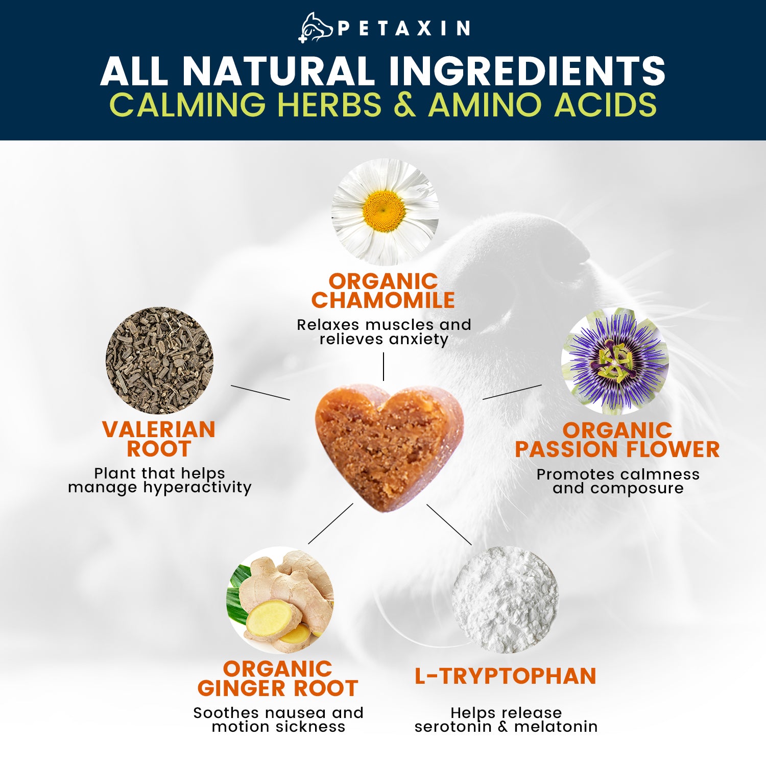 Petaxin Calm + Comfort Aid