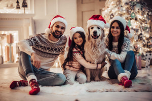 Christmas and Your Dog: Tips To Keep Your Pet Safe During The Holidays