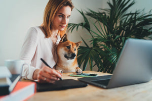 Survival Guide: How to Work from Home with Dogs