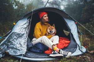 Taking Your Dog Camping? 7 Tips to Make it a Success!