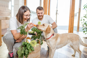 10 Healthy Herbs to Boost Your Dog's Diet