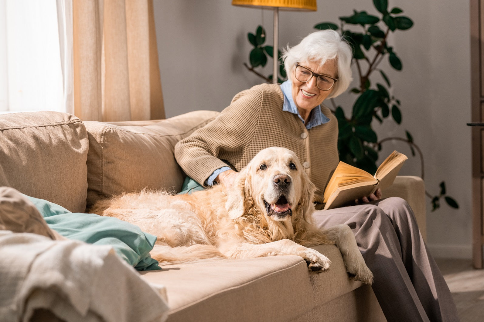 Tips on Caring for Senior Dogs
