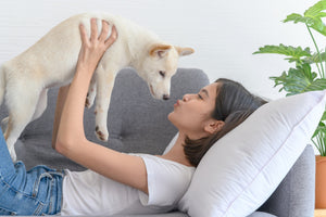 5 Tips to Make Your Home a Safer Place for Pets