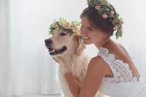 Tips on Including Your Dog at Your Wedding