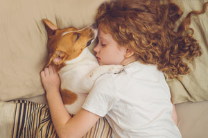 What Your Dog's Sleep Pattern Says