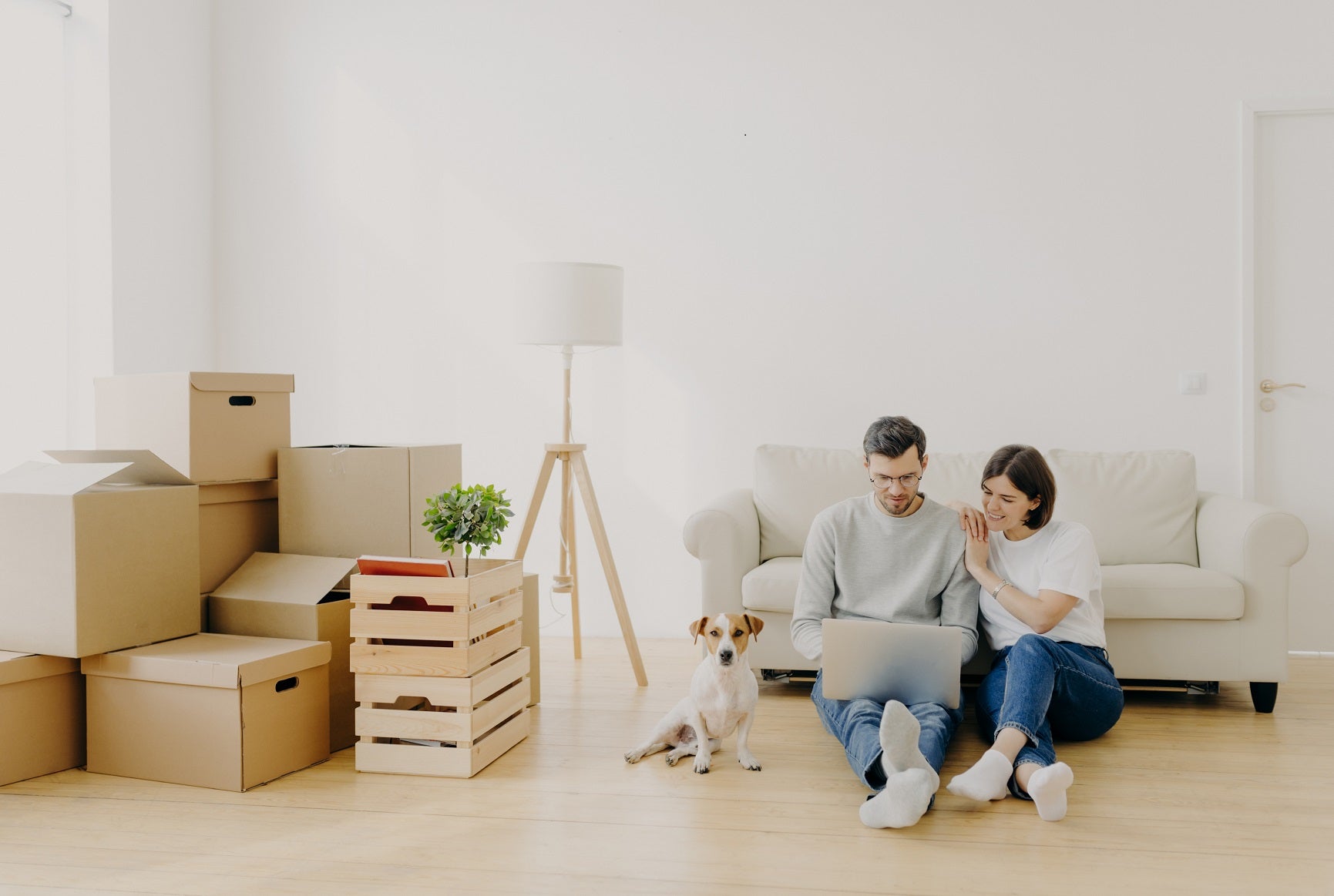 Tips to Help If Your Move Stressing Out Your Dog