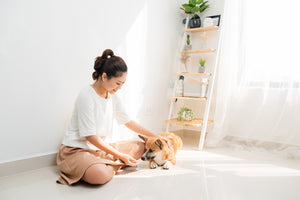 4 Types of Dog Friendly Floors