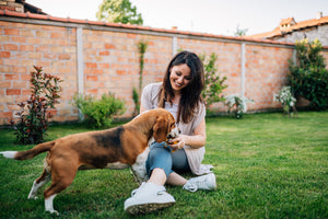 How to Balance Treats & Nutrition for Your Dog