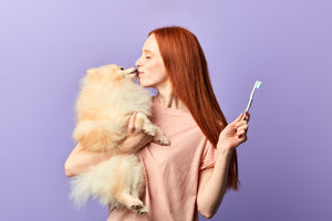 How Often Should I Brush My Dog's Teeth