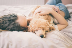 10 Tips to Help Your Dog Sleep at Night