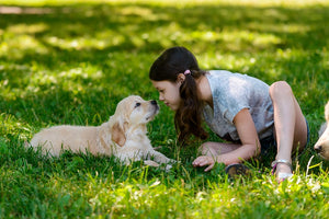 Make Your Dog Look Pawesome-Awesome