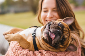 The Furry Life – How to Make a Dog Live Longer