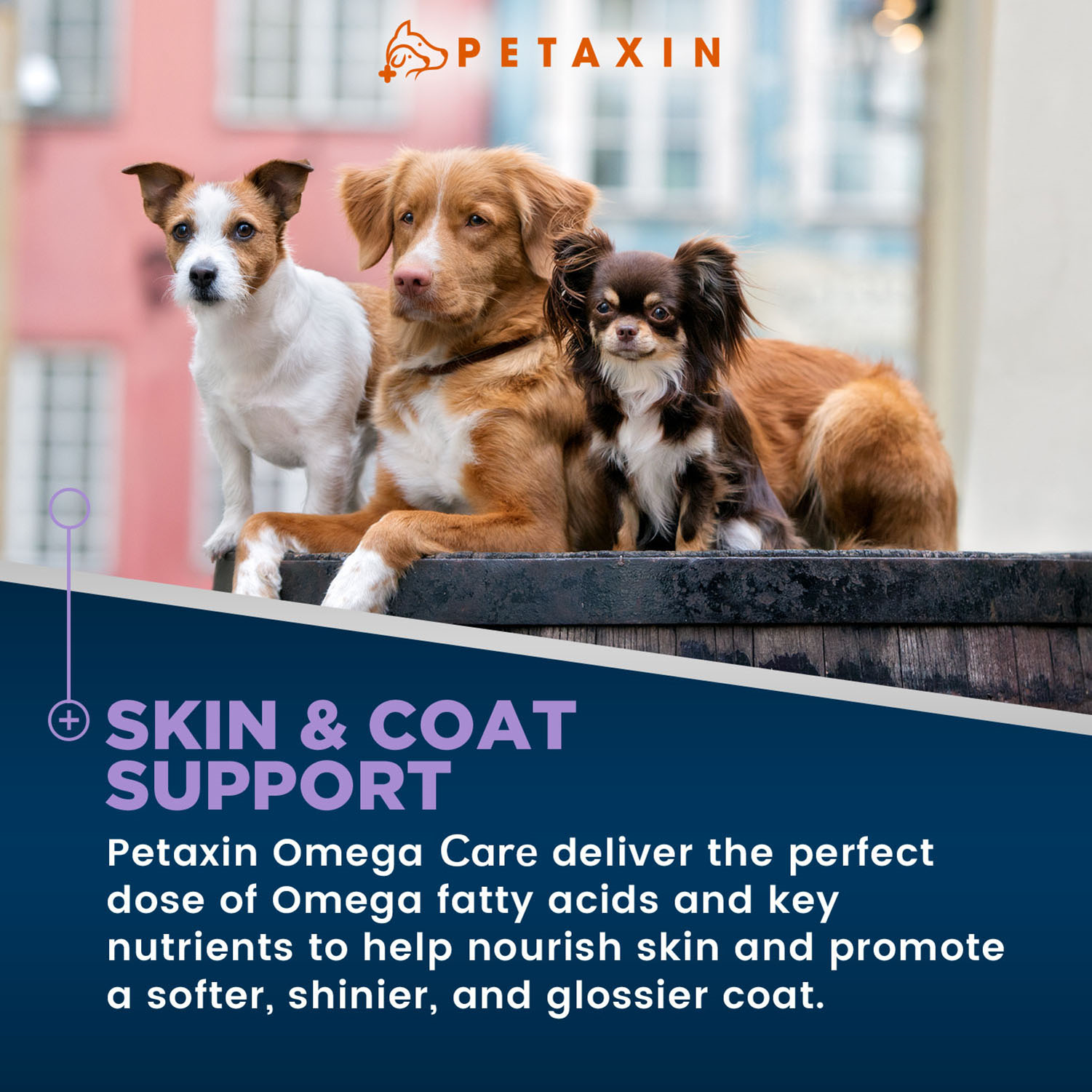 Petaxin Omega Care